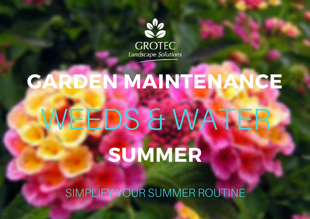 Summer Garden Maintenance